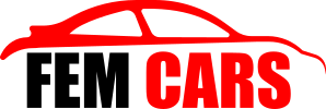 Fem-Cars Hungary Kft. logo